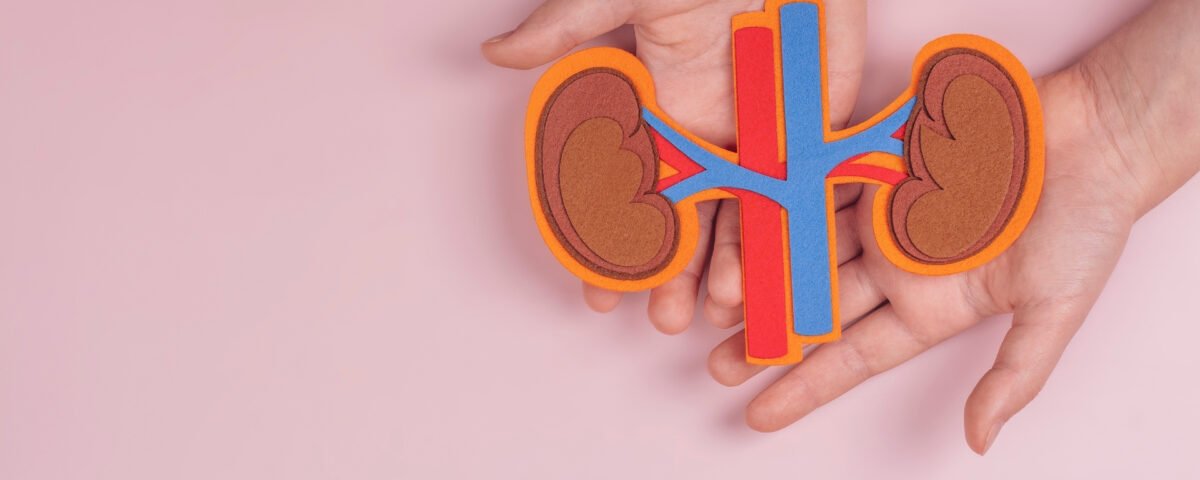 Yüksek protein ve tuzlu diyet böbrek taşını nasıl tetikler? Protein ve sodyumun böbrek sağlığına etkisi, taş riskini artıran mekanizmalar ve beslenme önerileri.