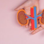 Yüksek protein ve tuzlu diyet böbrek taşını nasıl tetikler? Protein ve sodyumun böbrek sağlığına etkisi, taş riskini artıran mekanizmalar ve beslenme önerileri.