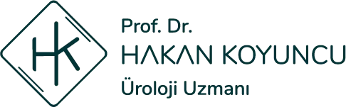 Prof.Dr. Hakan Koyuncu