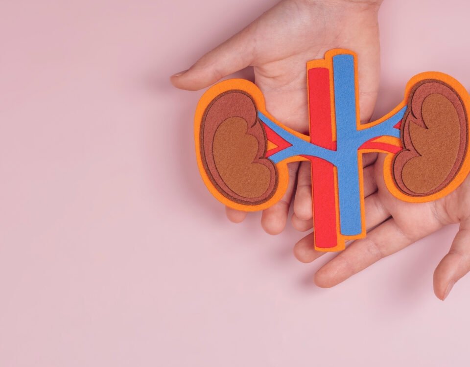 Yüksek protein ve tuzlu diyet böbrek taşını nasıl tetikler? Protein ve sodyumun böbrek sağlığına etkisi, taş riskini artıran mekanizmalar ve beslenme önerileri.